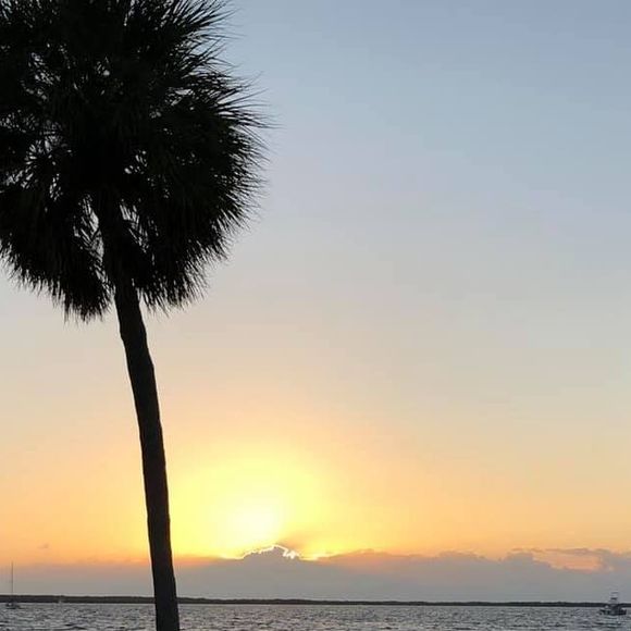 Meet your Posher, Keith - Picture 1 of 1